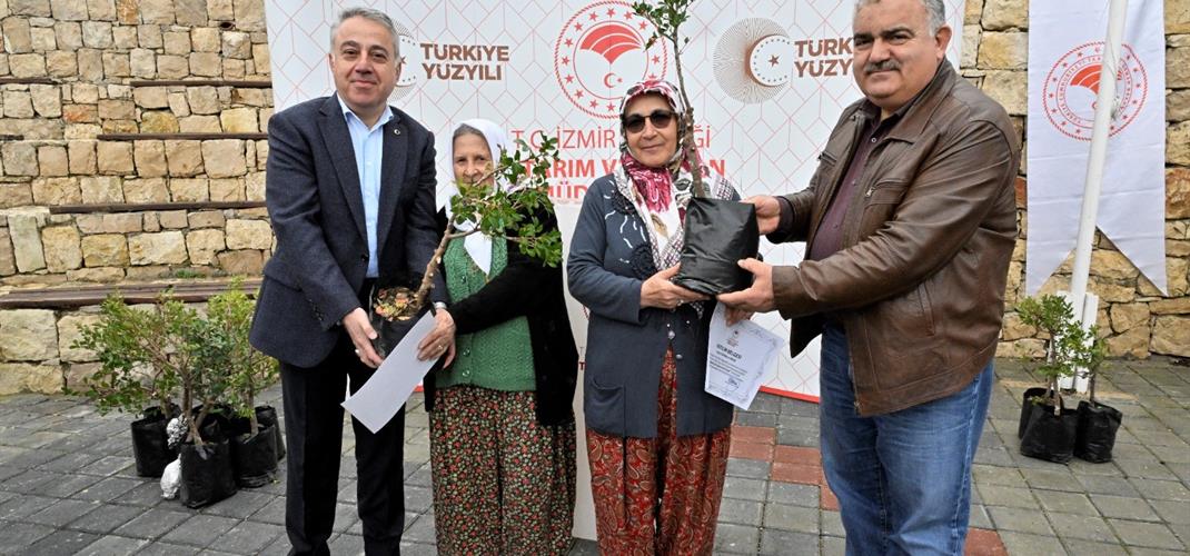İzmir'de Kadın Gücü Sakız Ağacına Can Katıyor..!