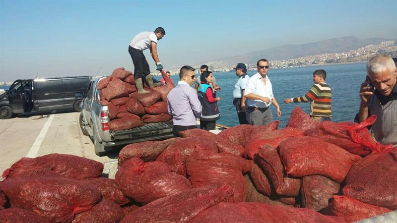 Izmir De 11 Ton Kara Midyeye El Konuldu