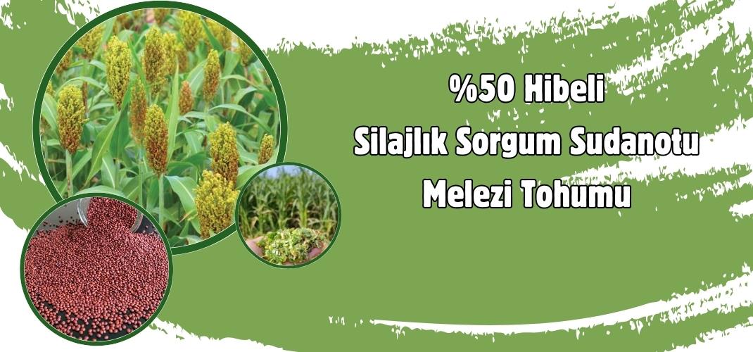 Son Başvuru Günü 6 Mart Cuma