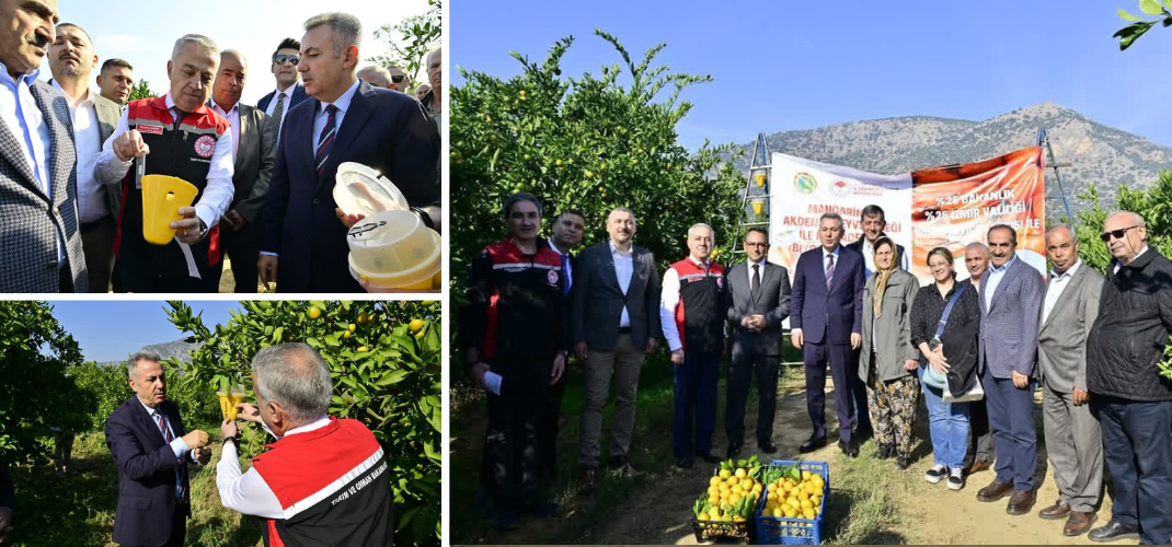 İzmir’in bereketli topraklarında Akdeniz Meyve Sineği ile mücadelemiz sürüyor! 