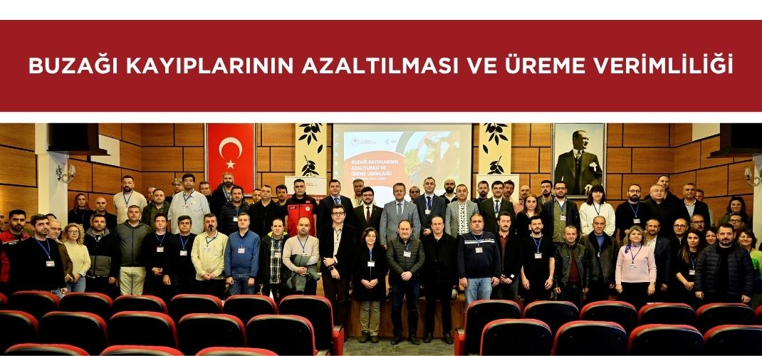 "Buzağı Kayıplarının Azaltılması ve Üreme Verimliliği” Eğitimi İl Müdürlüğümüzde Gerçekleştiriliyor.