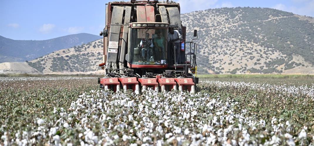 Tarımın İyisi, Pamuğun Kalitelisi Pamukta İyi Tarım Uygulamalarını yaygınlaştırmayı amaçlayan İzmir Tarım ve Orman İl Müdürlüğü örnek bir projeyi daha hayata geçirdi. 